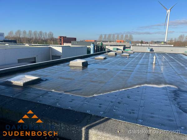 Plat dak bedrijfspand met bitumen dakbedekking en lichtkoepels in Oudenbosch