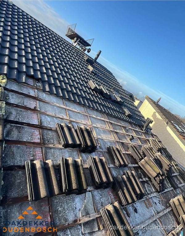 Schuin dak renovatie met nieuwe dakpannen in Oudenbosch Schuin dak renovatie met nieuwe dakpannen in Oudenbosch