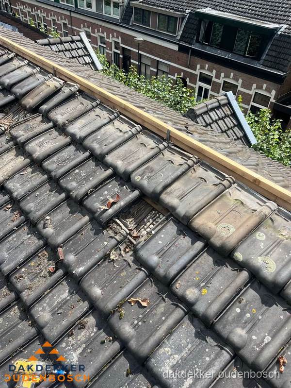 Dakonderhoud aan schuin pannendak met nokvernieuwing in Oudenbosch Dakonderhoud aan schuin pannendak met nokvernieuwing in Oudenbosch