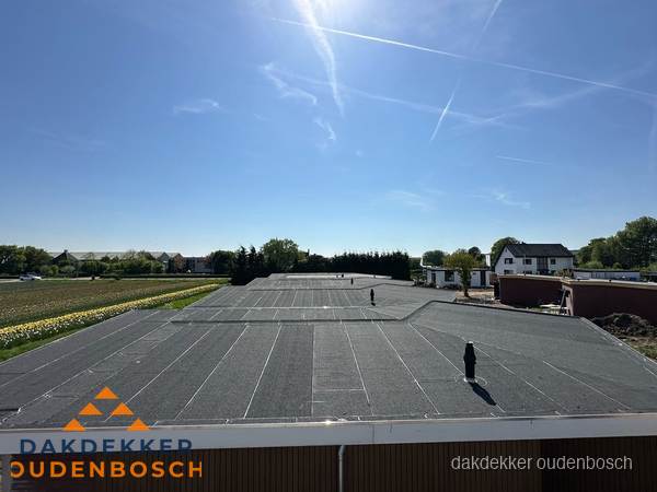 Groot plat dak met bitumen dakbedekking op bedrijfspand in Oudenbosch Groot plat dak met bitumen dakbedekking op bedrijfspand in Oudenbosch