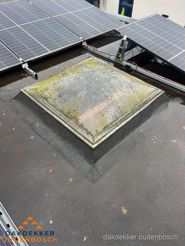 Vervuilde lichtkoepel op plat dak met zonnepanelen in Oudenbosch Vervuilde lichtkoepel op plat dak met zonnepanelen in Oudenbosch