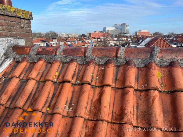 Pannendak met nokvorst en schoorsteen, dakrenovatie in Oudenbosch Pannendak met nokvorst en schoorsteen, dakrenovatie in Oudenbosch