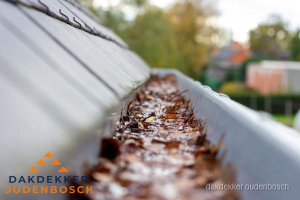 Verstopte dakgoot met bladeren schoonmaken in Oudenbosch Verstopte dakgoot met bladeren schoonmaken in Oudenbosch