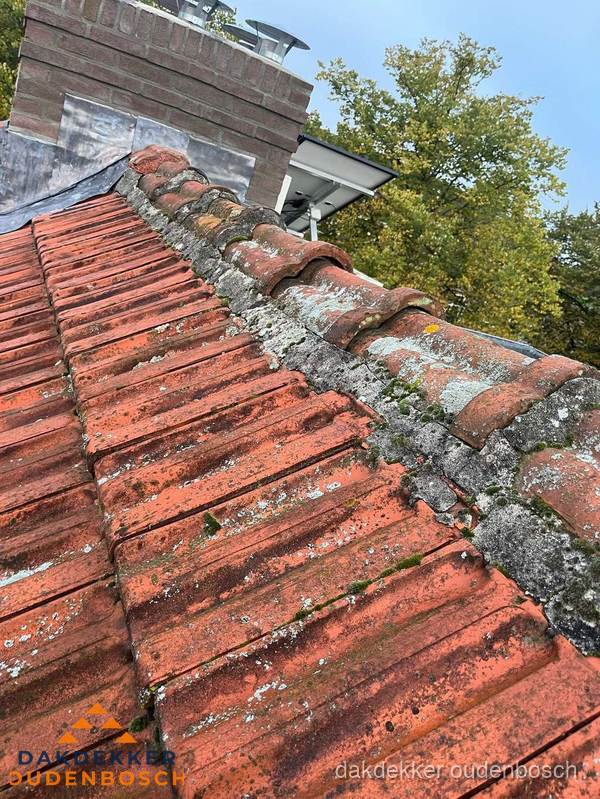 Verweerd hellend dak met mosgroei op nokvorst in Oudenbosch Verweerd hellend dak met mosgroei op nokvorst in Oudenbosch