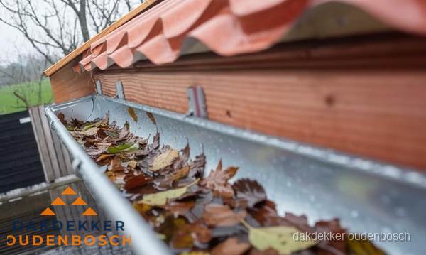 Dakgoot vol bladeren die gereinigd moet worden in Oudenbosch Dakgoot vol bladeren die gereinigd moet worden in Oudenbosch